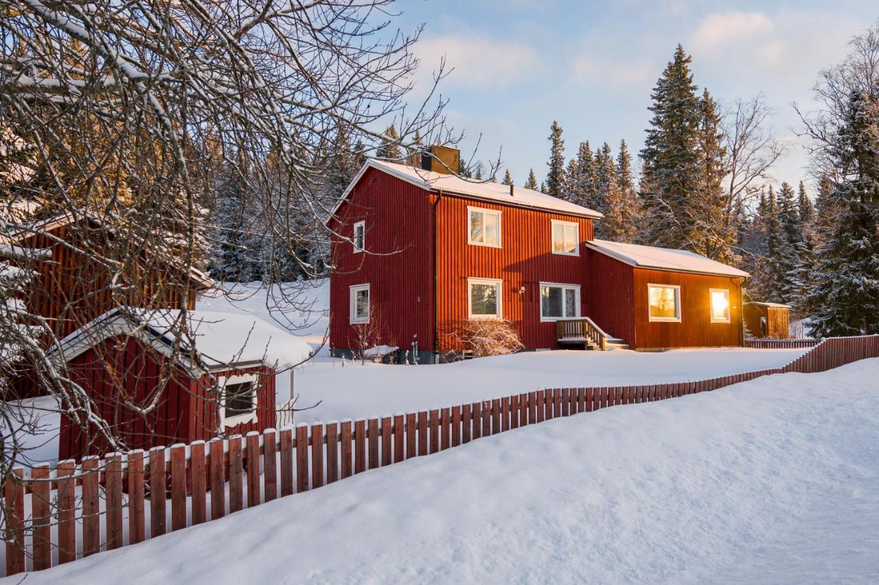 The Bear'S Den Håkafot Exterior foto