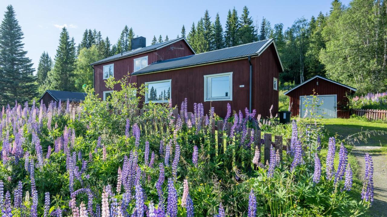 The Bear'S Den Håkafot Exterior foto