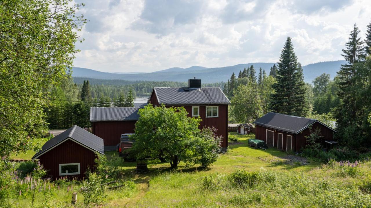 The Bear'S Den Håkafot Exterior foto